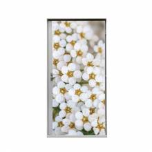 Door Wrap 80 cm White Flower Spirea