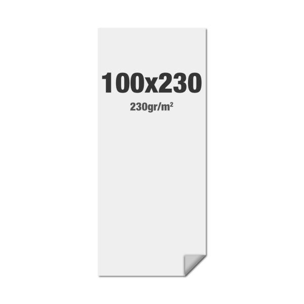 FlexFrame Wall Graphic 100 x 230 cm