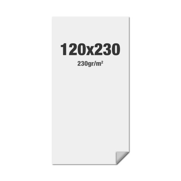 FlexFrame Wall Graphic 120 x 230 cm