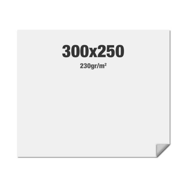 FlexFrame Wall Graphic 300 x 250 cm