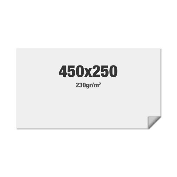 FlexFrame Wall Graphic 450 x 250 cm