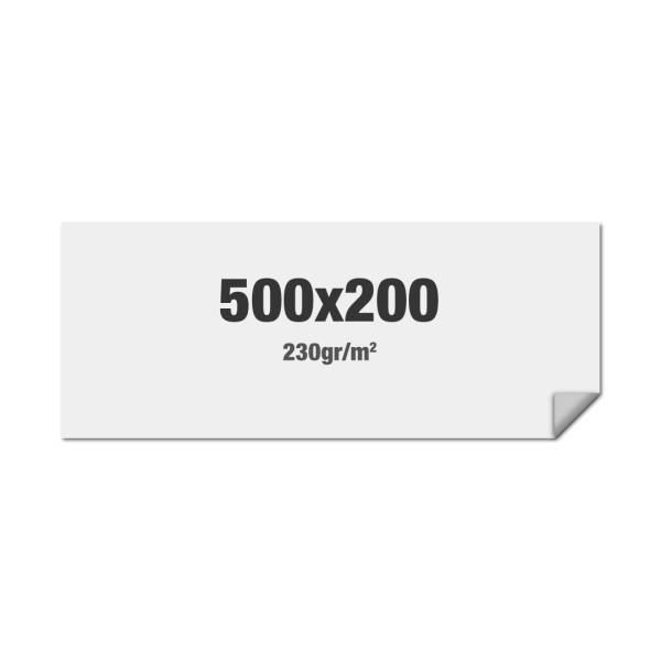 FlexFrame Wall Graphic 500 x 200 cm