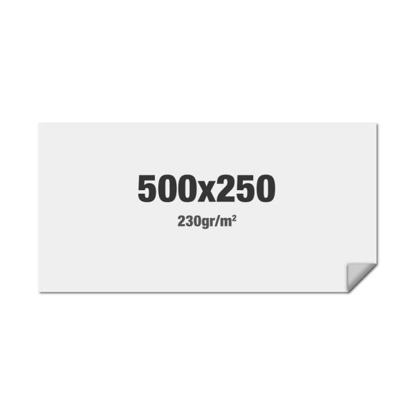 FlexFrame Wall Graphic 500 x 250 cm