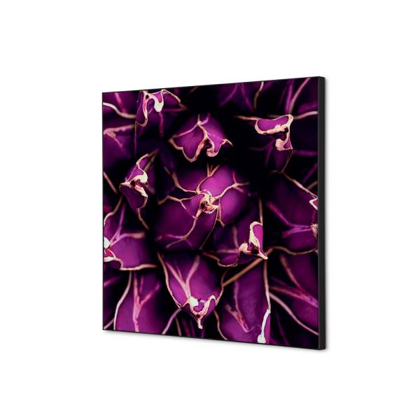 Textile Wall Decoration SET 40 x 40 Cactus Purple