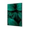Textile Wall Decoration SET 40 x 40 Botanical Leaves Red - 1