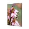 Textile Wall Decoration SET 40 x 40 Pink Flower Erica - 1